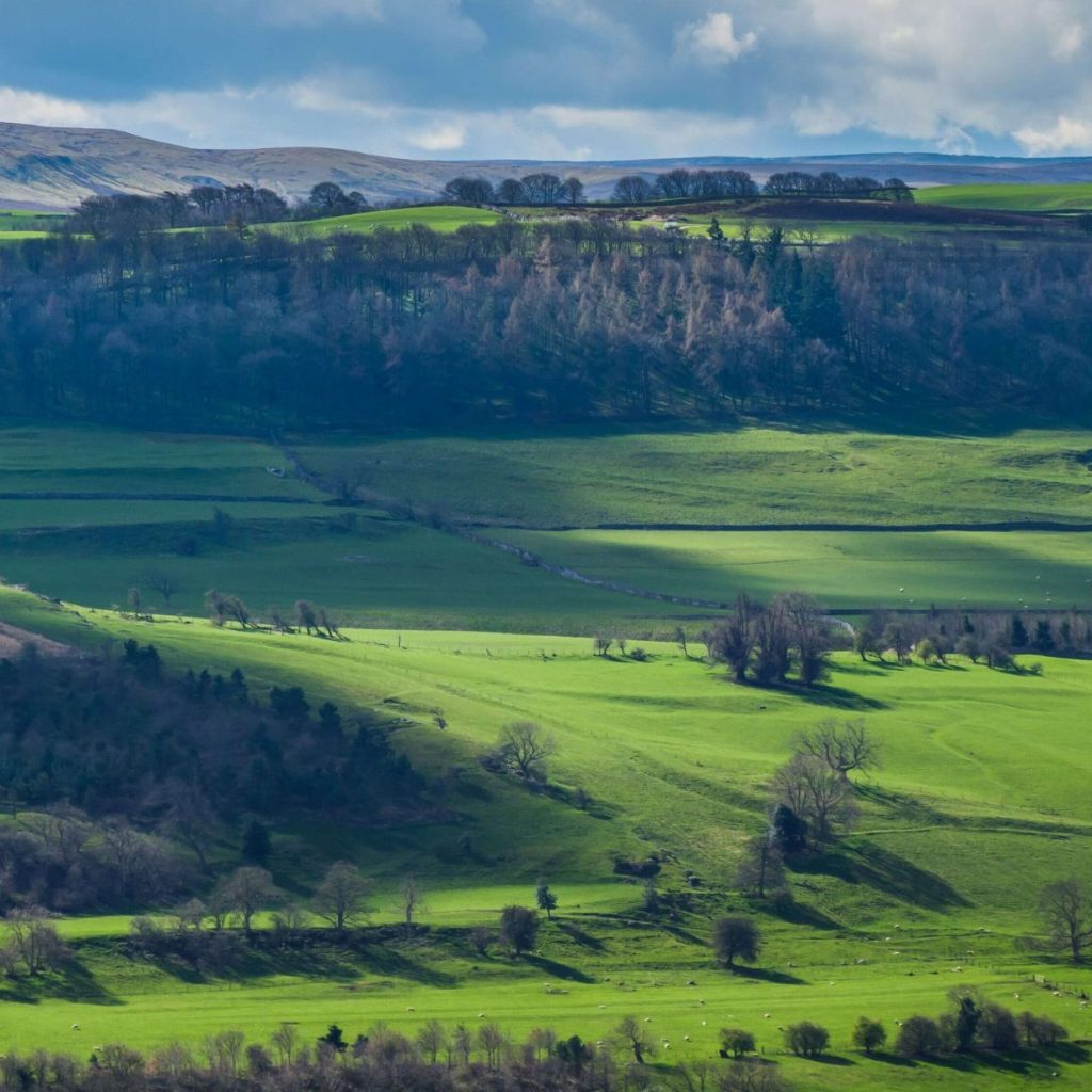 Apply now for agri-leadership bursary place