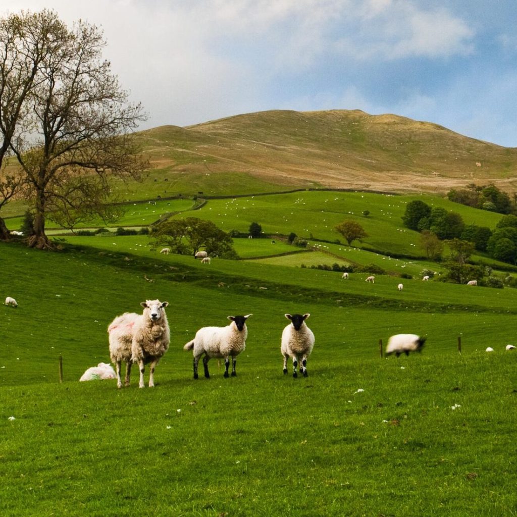 Farmers invited to find out about hosting work experience