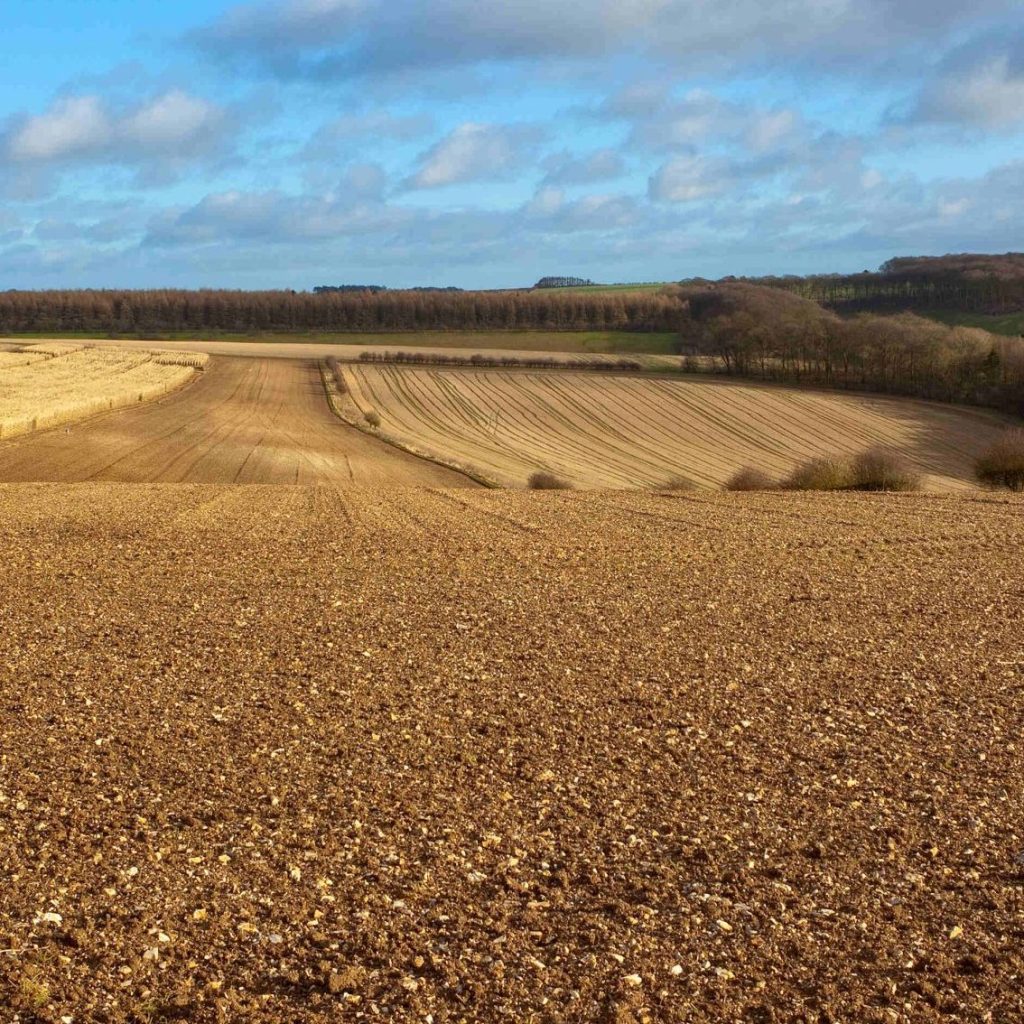 Get to grips with farm finance - February & March training