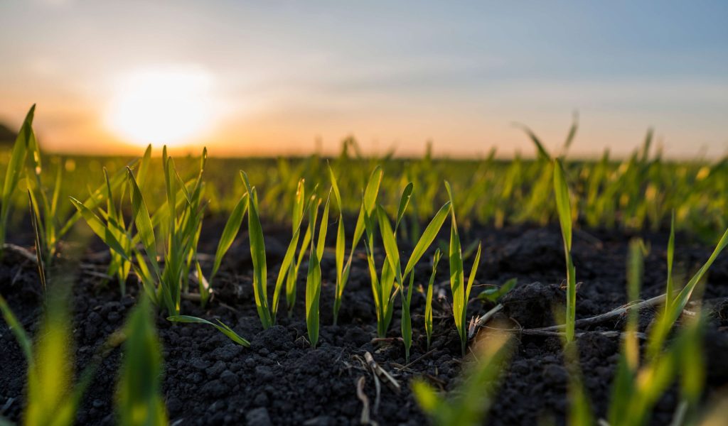 Win fully-funded places at Groundswell 2024 this June