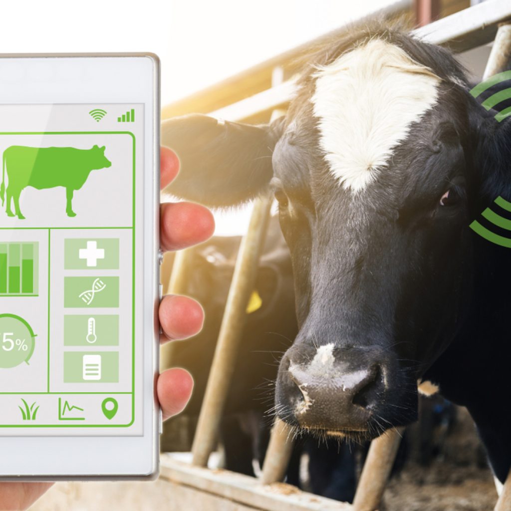 Small grants for agricultural students offered by Farmer Scientist Network