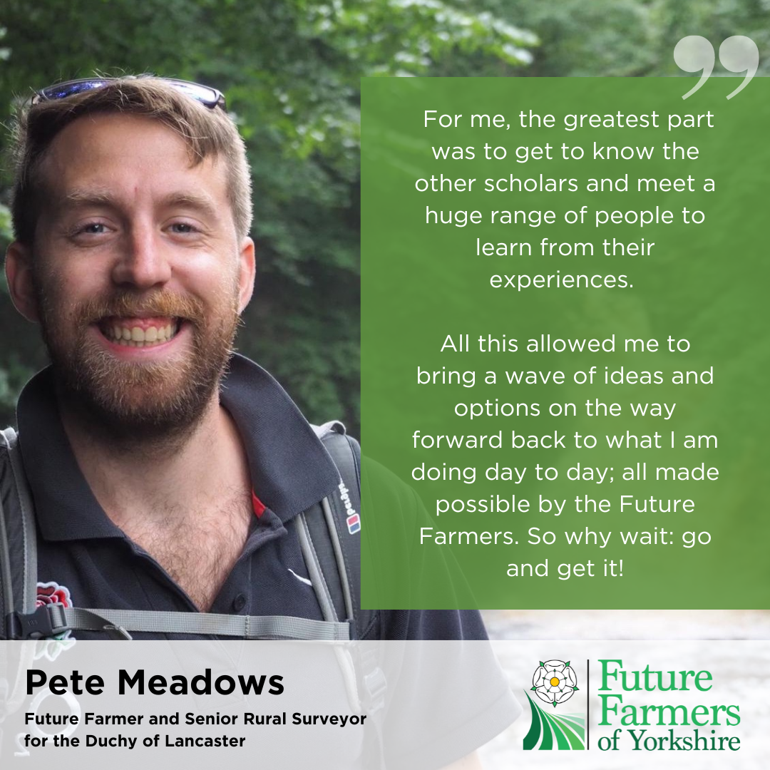 ffy-pete-meadows-ofc-tile