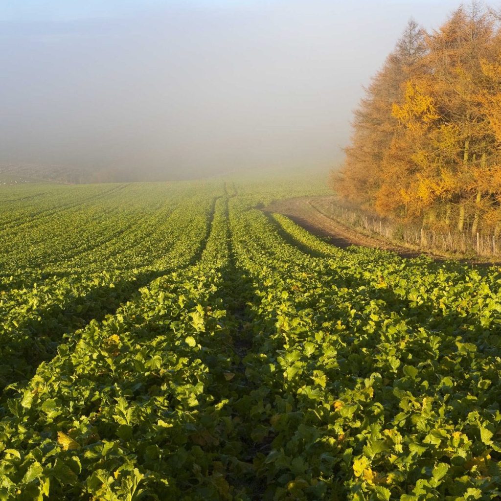 Book now - Future Farmers Autumn Debate on 14th November 2024