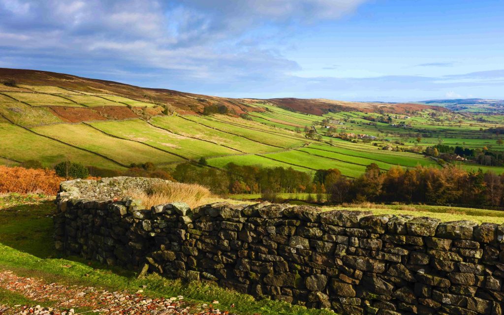 Support update - Yorkshire Agricultural Society