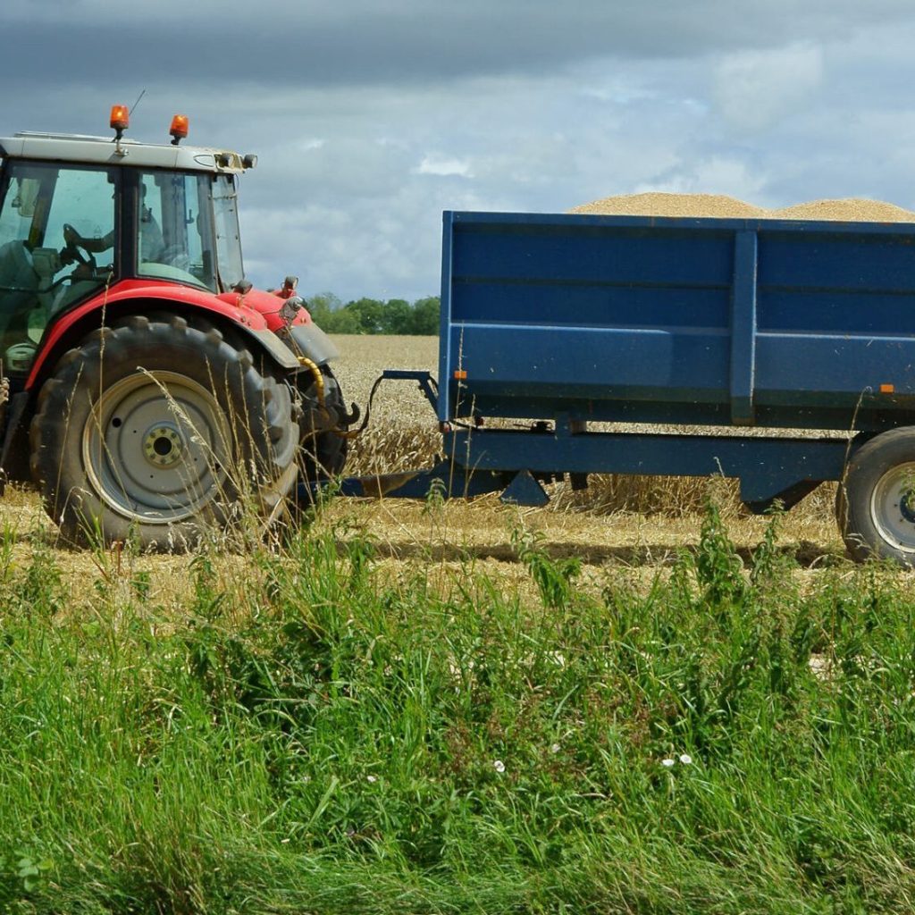 Industry training offered to Young Farmers through YFFRN funding partnership
