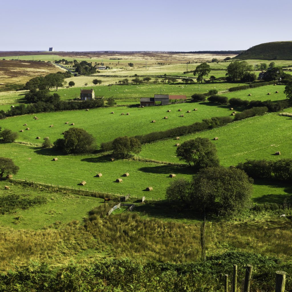 'It's crucial that future generations are equipped to play an active role in agriculture' - George Gill & Sam Dilcock