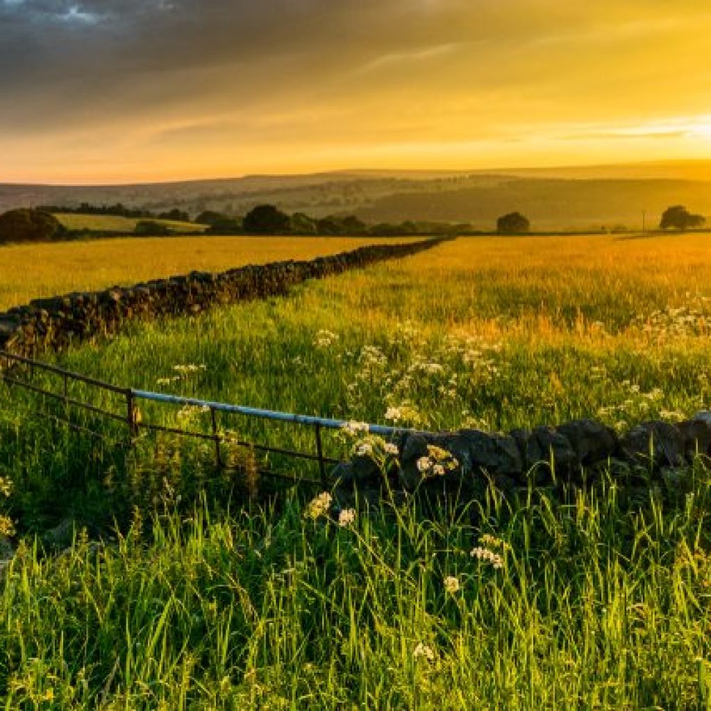 Book now - Future Farmers Spring Debate on 20th March 2025