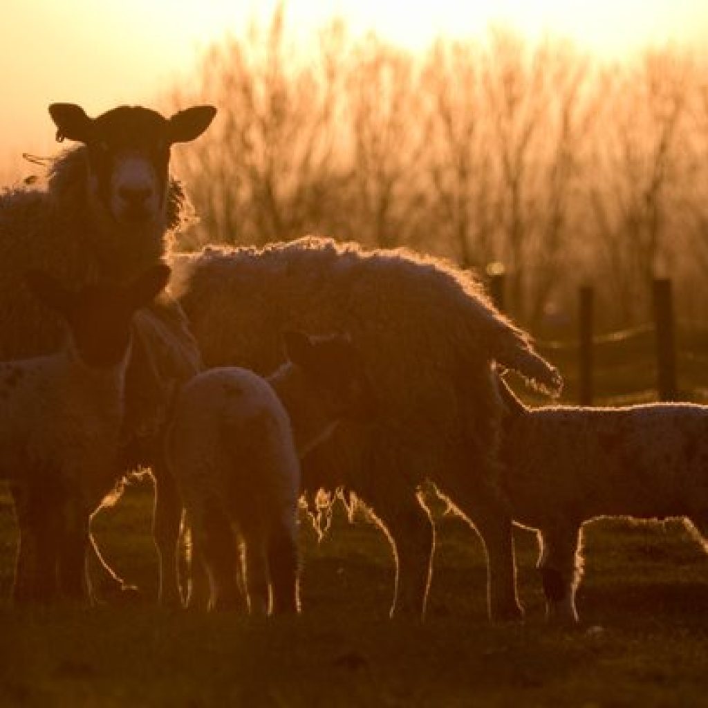 Free events to help farmers navigate Budget proposals