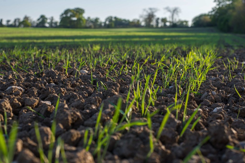 Supporting our farmers - Survey and events