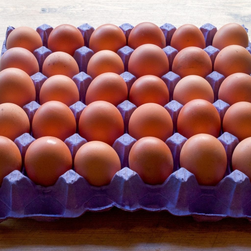 Future Farmers Industry Insight visit - Chippindale Foods 2nd April 2025