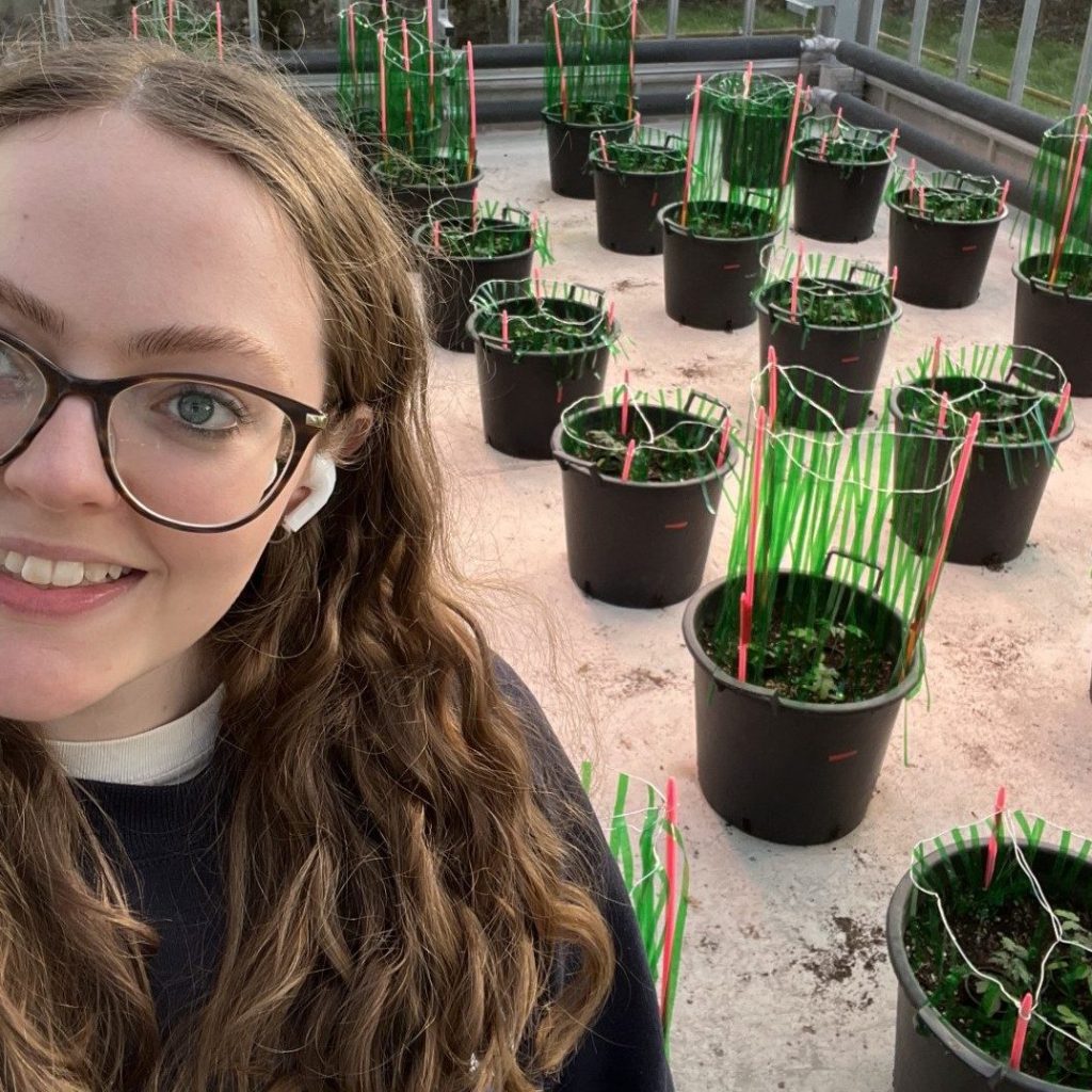 Grants to boost your Agriculture studies - just like Lucy