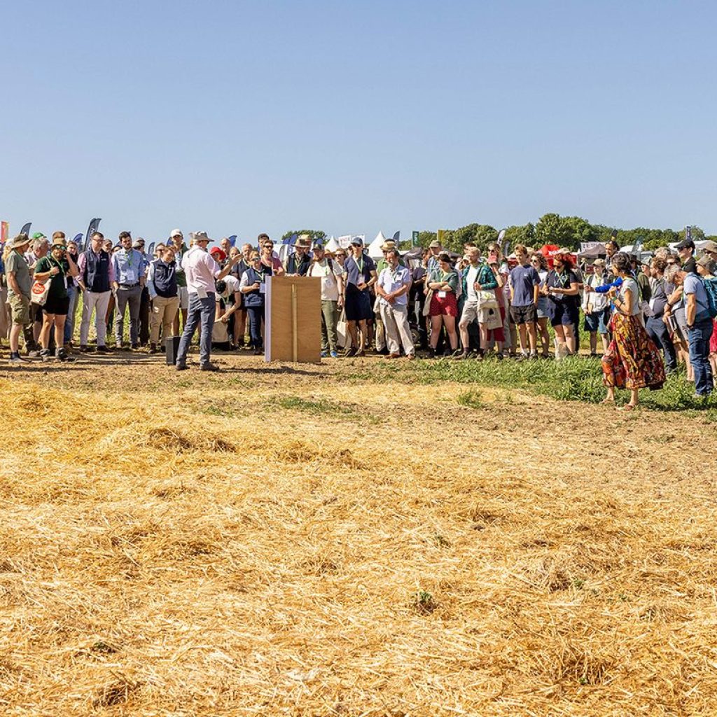 Apply for fully-funded place at Groundswell 2025 this July