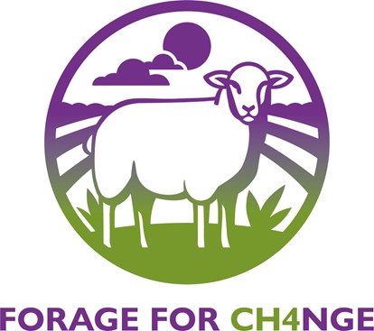 Forage For Ch4nge Forage For Ch4nge