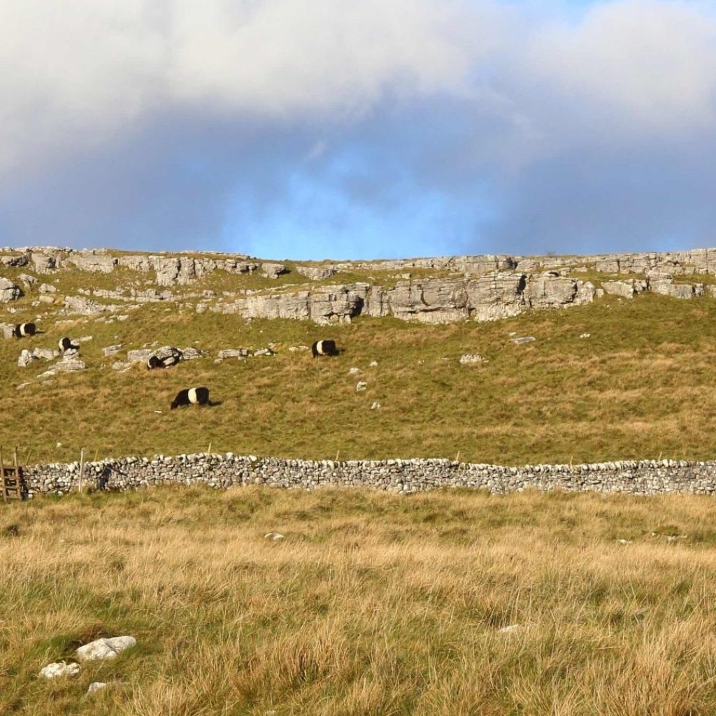 ORFC in the Field - Future Farmers bursary places