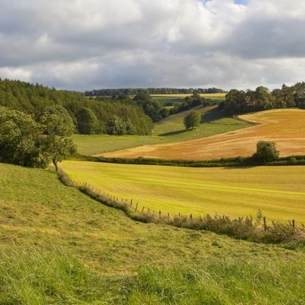 Exploring new opportunities in Agri-Tech Innovation