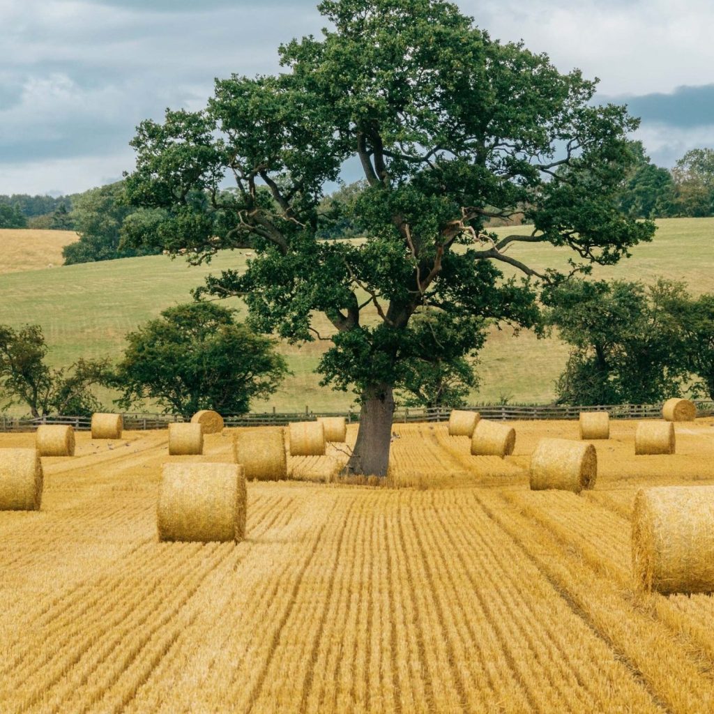 Pathways to Farm Entry - Book your place