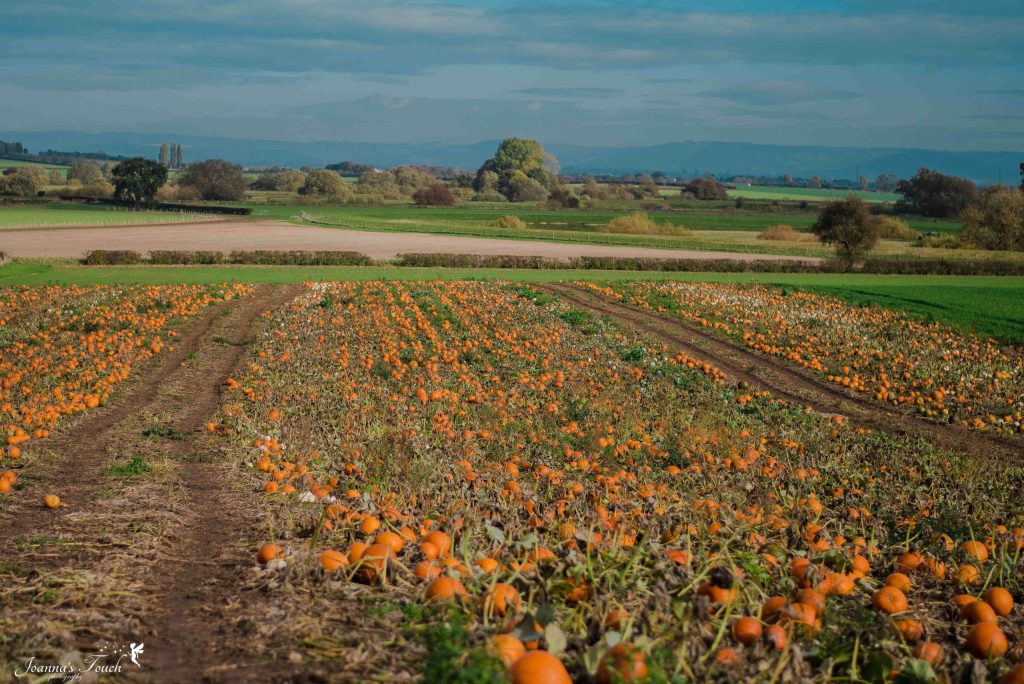 Book now – Women in Farming Autumn Gathering 14 October 2025