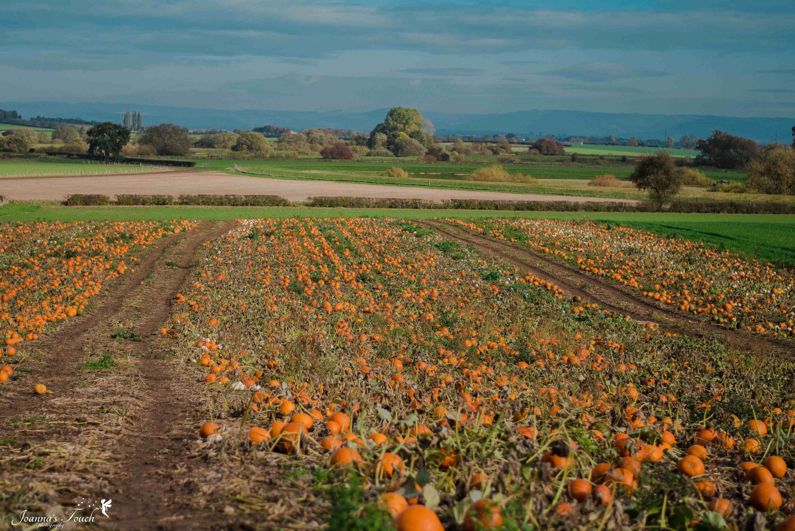 Book now – Women in Farming Autumn Gathering 14 October 2025