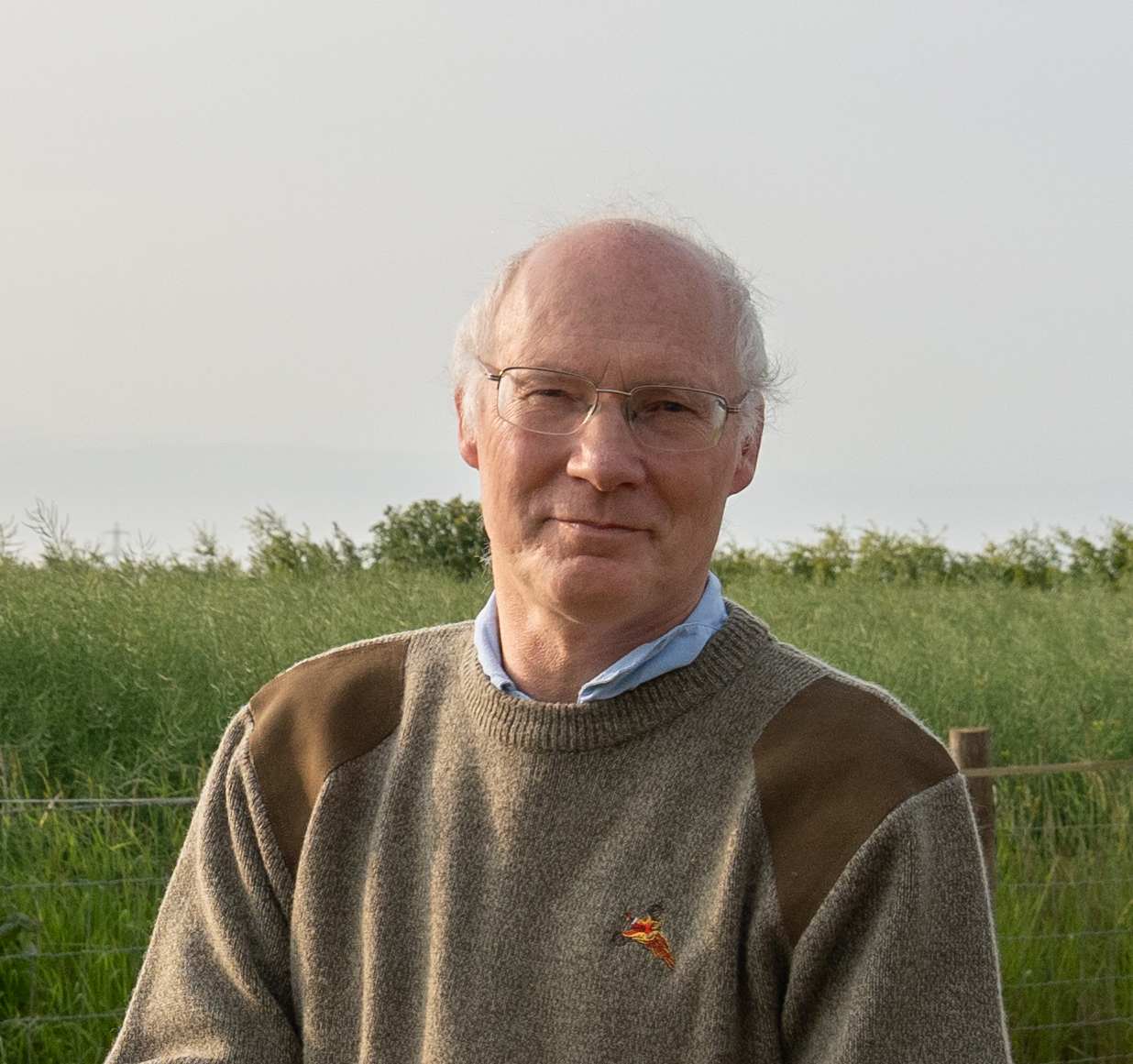 andrew-manfield
