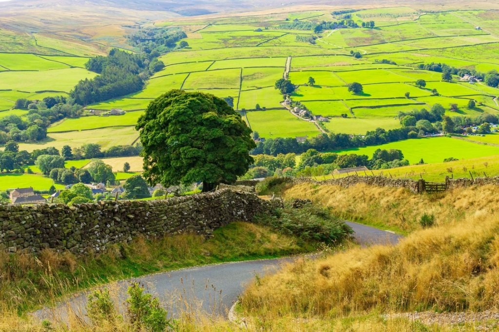 Student poster competition for the Yorkshire Farming Conference