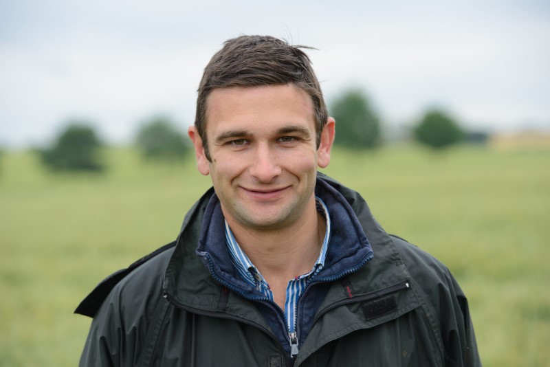 david-stead