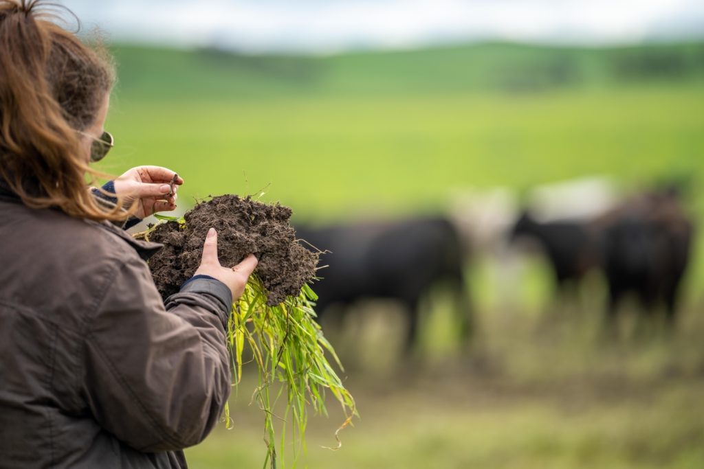 Farmer Scientist Network secures grant funding to support more farms