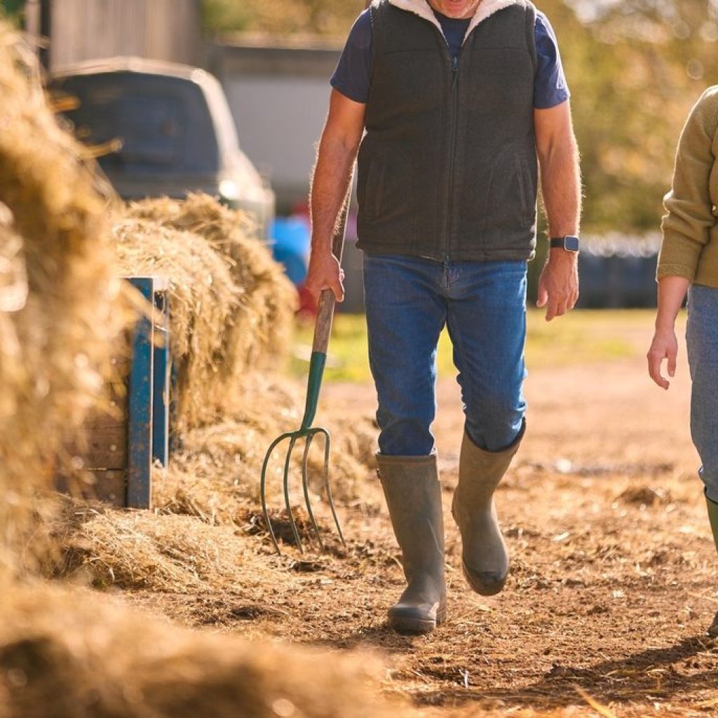 Applications open for Future Farmers new Development Token Scheme