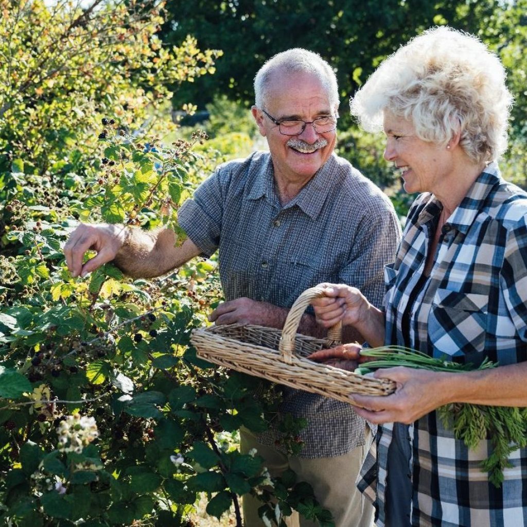 Perennial charity spotlight - Yorkshire Rural Support Network