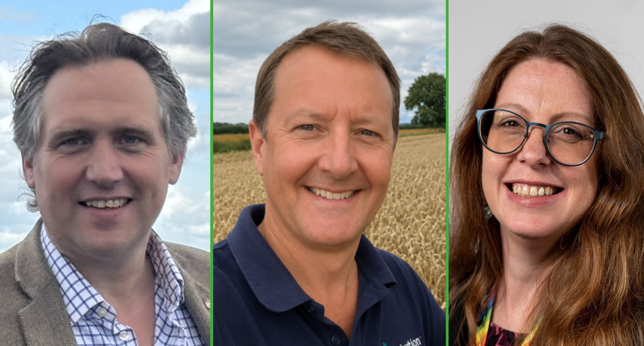 fsn1-1