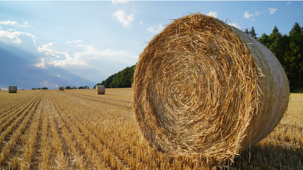 Apply for an Oxford Farming Conference Bursary