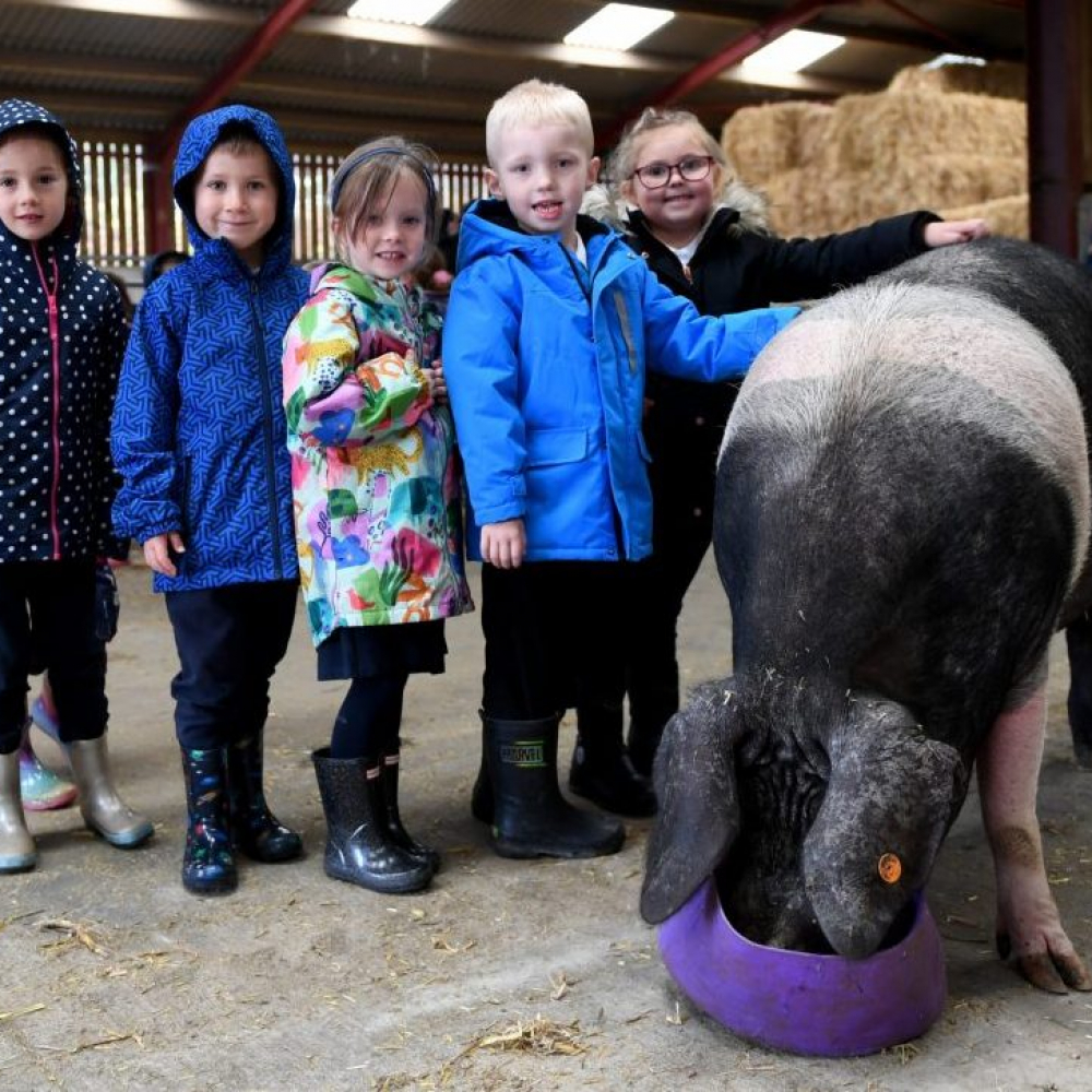 Farm to Fork visit