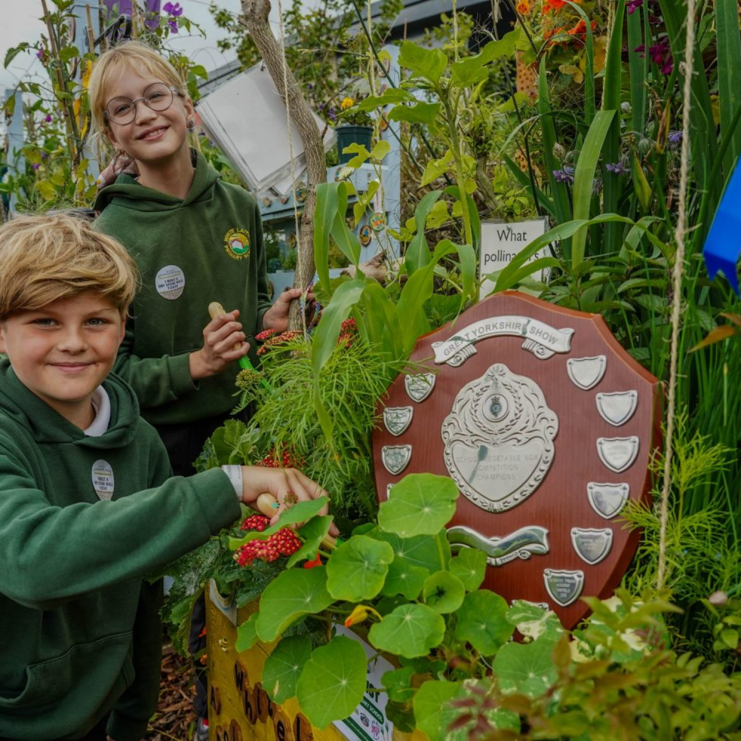 gys24_veg-box-school-awards_wed_008